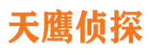 天峻寻人公司